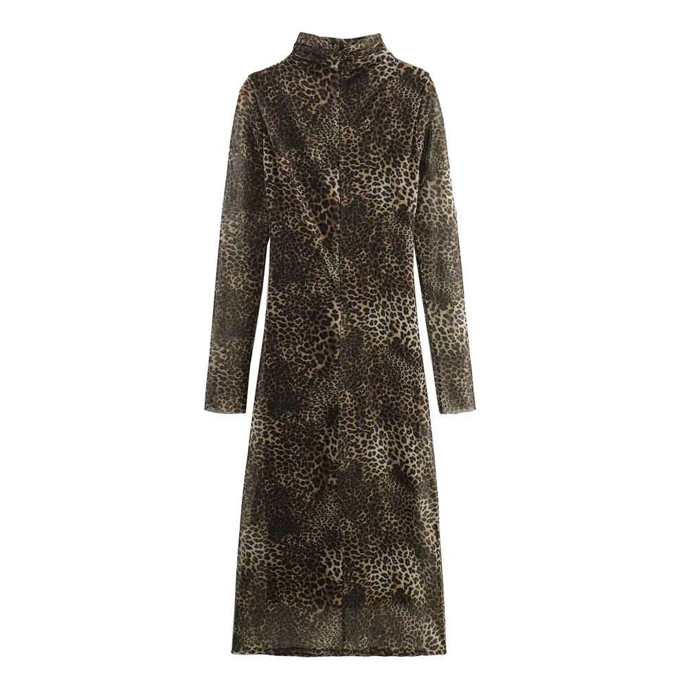 Wild Meshy Dress