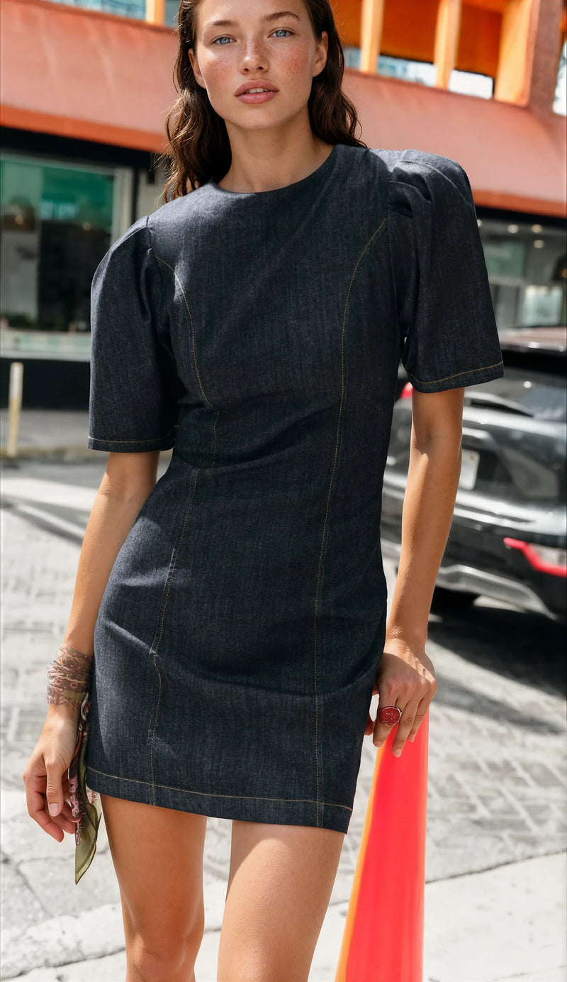 Alabama Denim Mini Dress