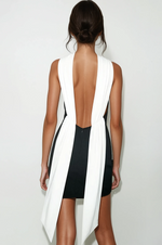 Milly Dress