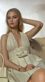 Lilly Pilly Dress