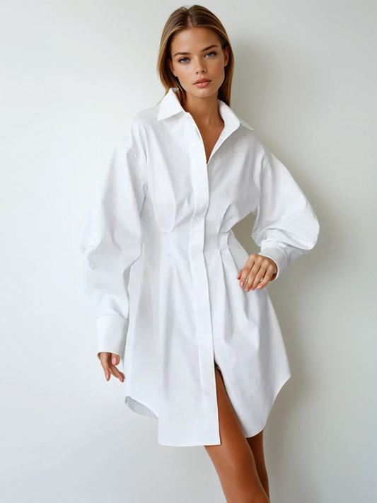 Park Avenue Shirt Dress