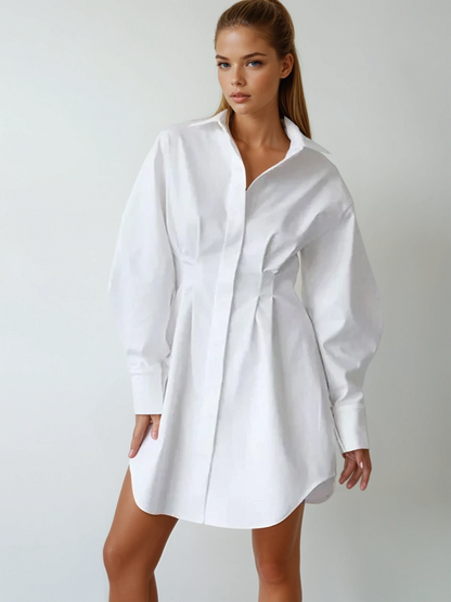 Park Avenue Shirt Dress