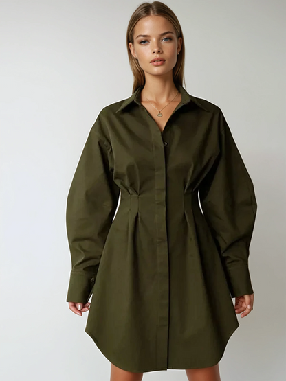 Park Avenue Shirt Dress
