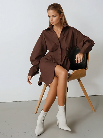 Park Avenue Shirt Dress
