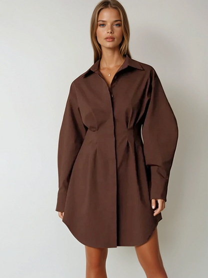 Park Avenue Shirt Dress